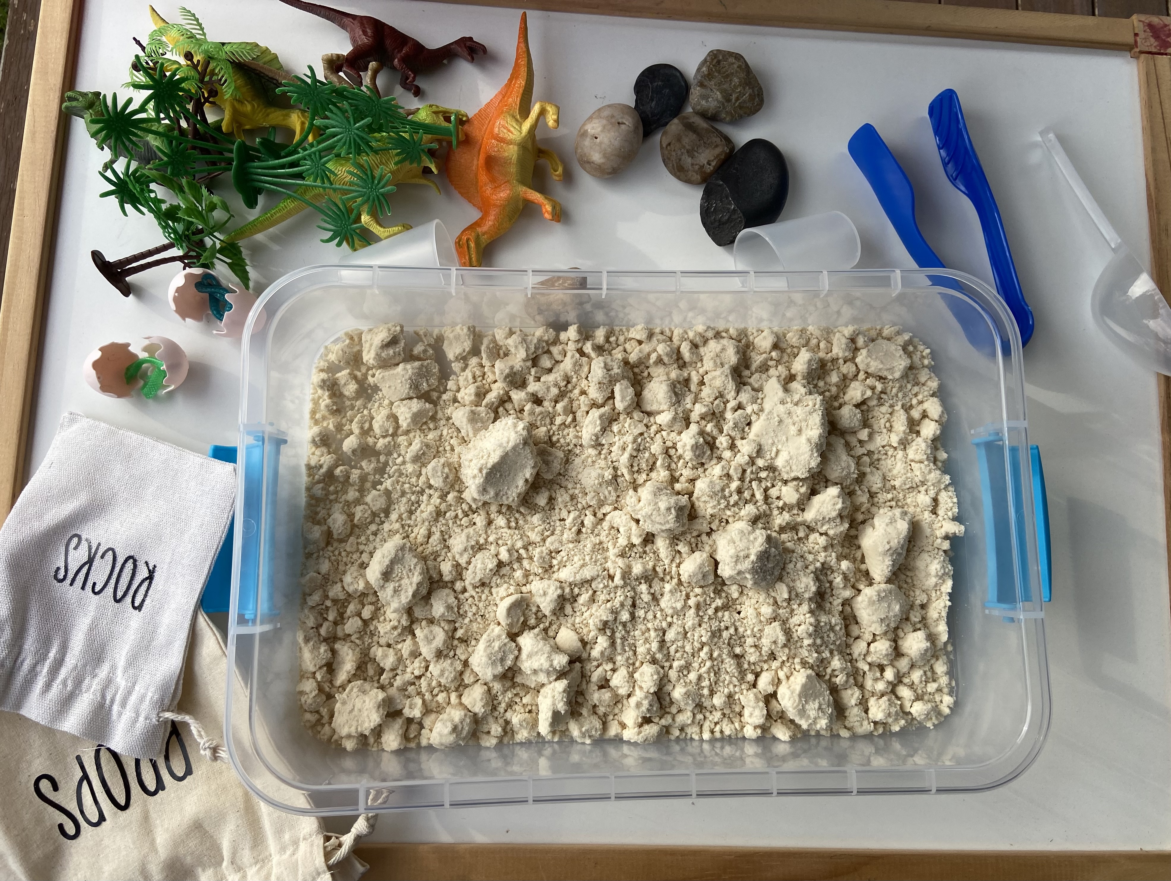 Little Dino Sensory detail photo