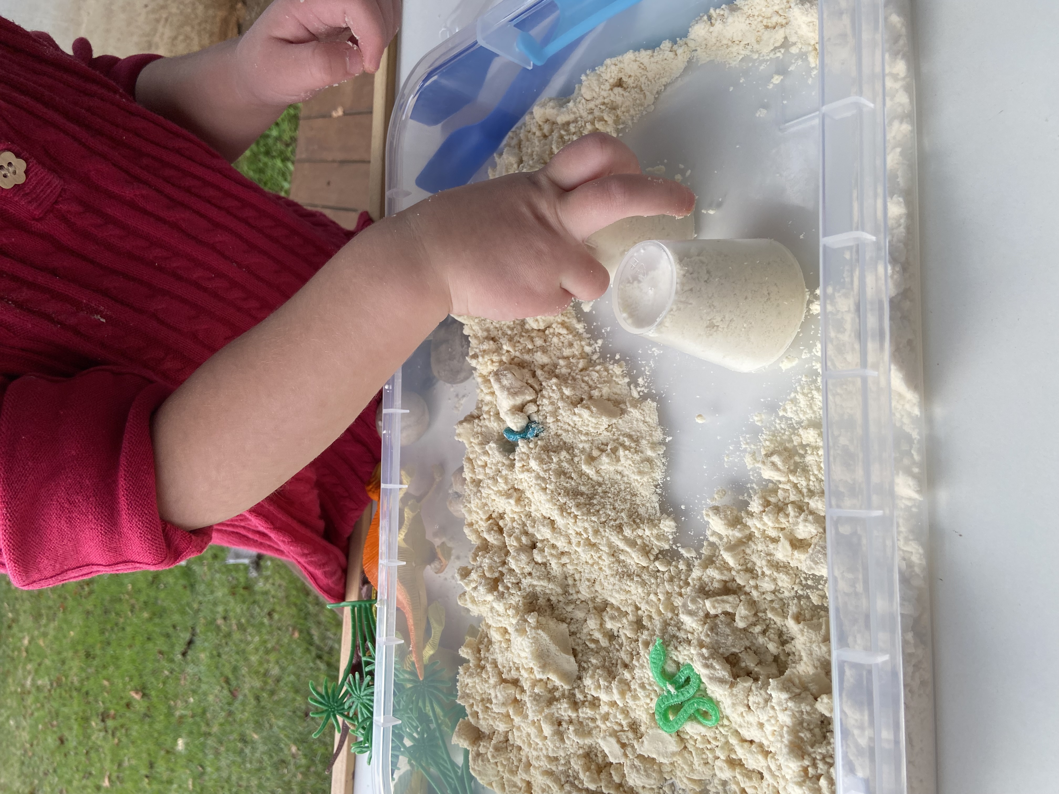 Little Dino Sensory action photo
