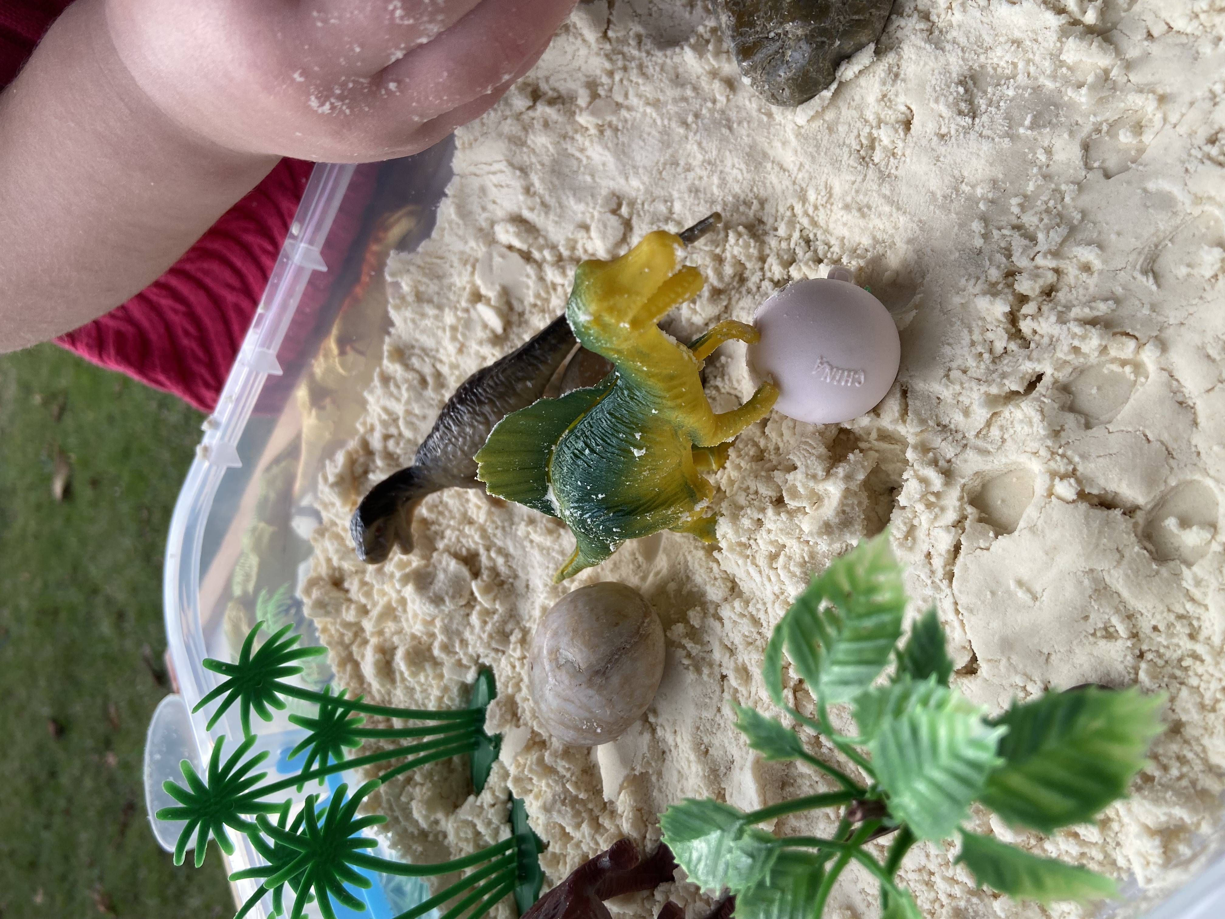 Little Dino Sensory action photo