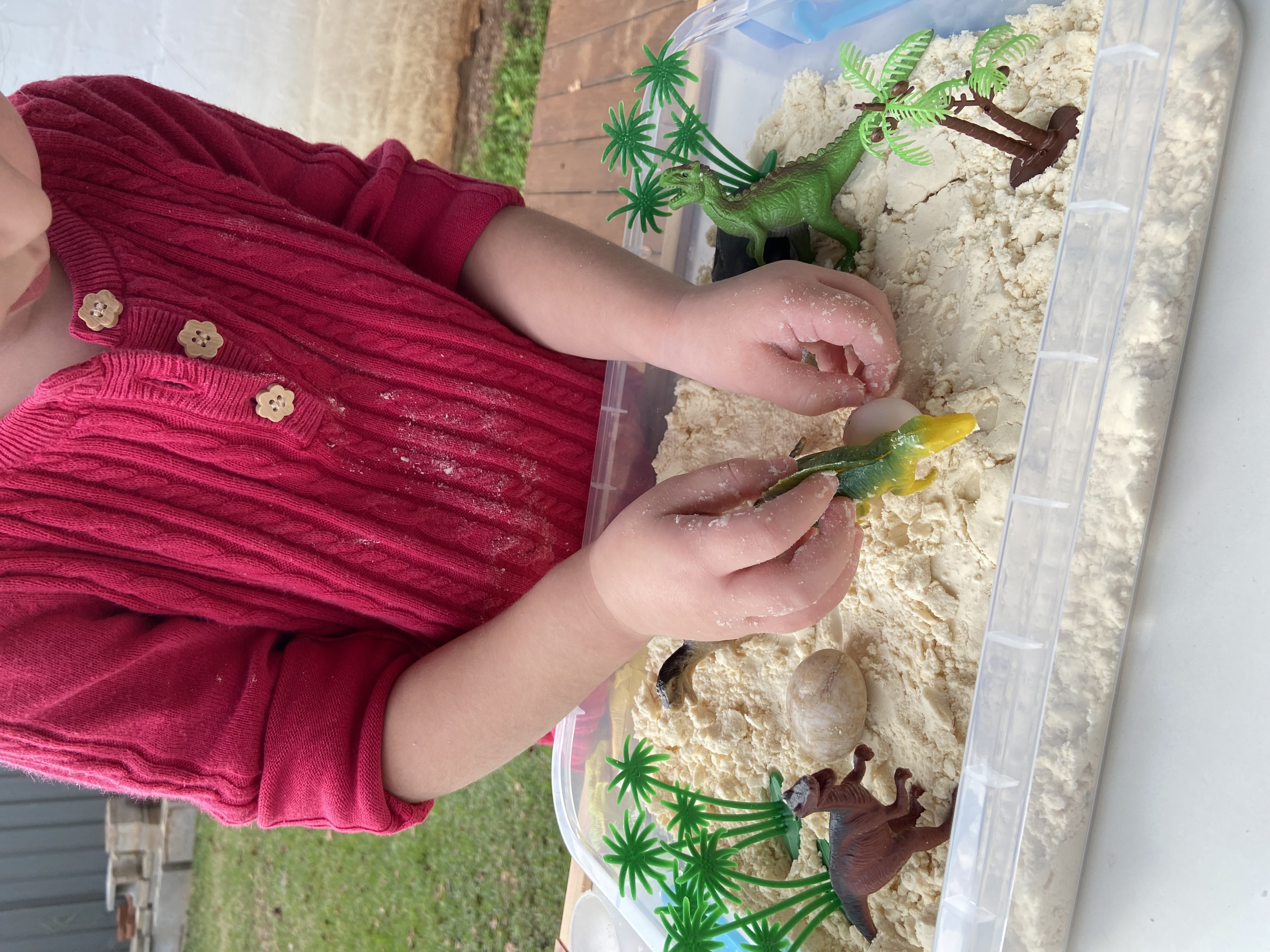 Little Dino Sensory action photo