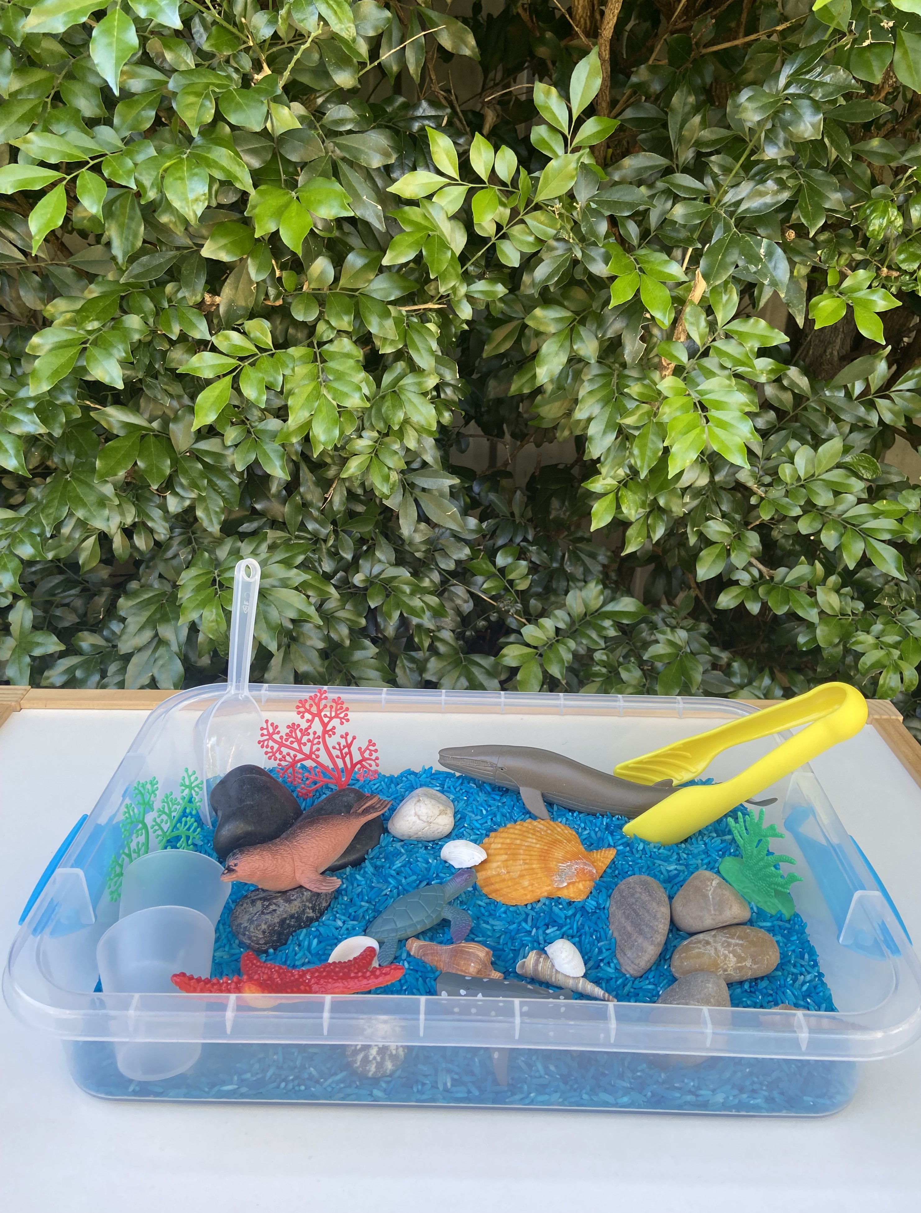 Little Ocean Sensory action photo