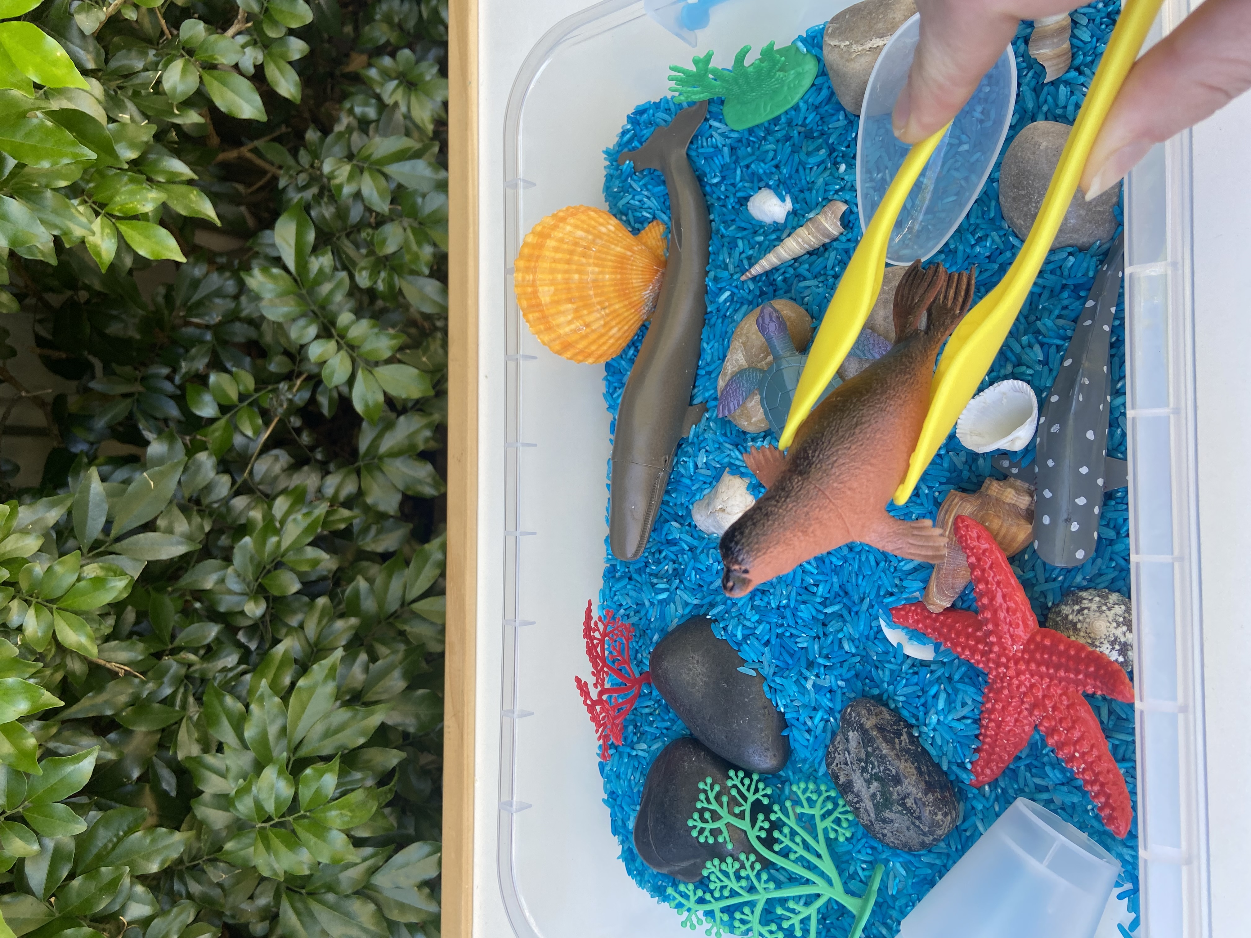 Little Ocean Sensory action photo